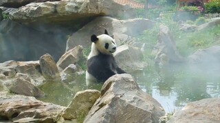 Apa Berendam di Air Bisa Membuatmu Jadi “”Abadi"?