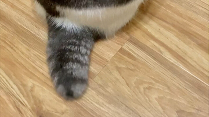 How could it be a rattlesnake! So scary