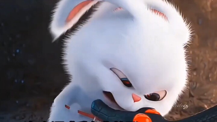 เจ้าพ่อกระต่ายจื่ออวี่เปิดรับน้องใหม่เพียบ～