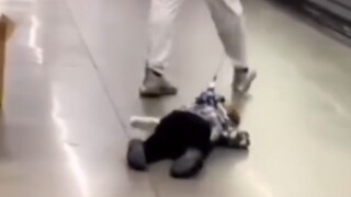 “在佛罗里达州你甚至能看到正常人”