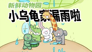【新鲜动物园】哗哗哗下雨啦，小乌龟家的房子漏雨啦！