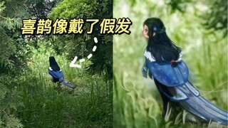 敢问是哪家的大小姐出来逛gai 啦？｜万物有灵且萌 唯佳酱原创
