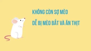 Thuyết âm mưu về lý do loài người thích mèo - Nhện Tâm Lý#3.1