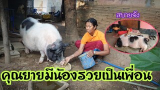 ต่างคนต่างไม่เหงาคุณยายมีน้องรวยเป็นเพื่อน