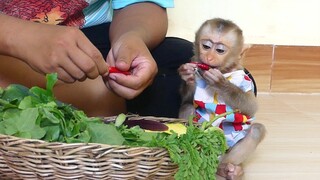 Baby Monkey Maku eat wrong food | Maku eat Chili so hot in mouth while mom Cutting Vegetables