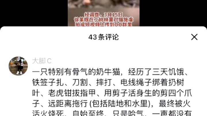 Bilibili creator “Jack Spicy Strip” abuses a cat