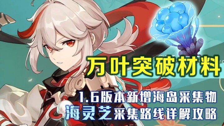 [เก็นชินอิมแพกต์] สถิติจำนวนวัตถุดิบสำหรับฟาร์มหม่านเยี่ย และแผนที่เส้นทางเก็บไฮลิงจือวัตถุดิบใหม่