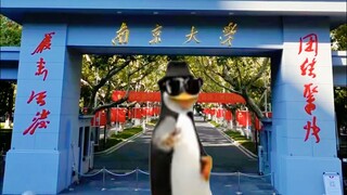 هكذا أروّج للجامعة الجنوبية