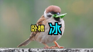 Holy shit! 😨😨Ice 🧊!! 😍😍😍Holy shit! 😨😨Ice 🧊!! 😍😍😍Holy shit! 😨😨Ice 🧊!! 😍😍😍Holy shit! 😨😨Ice 🧊!! 😍😍😍Holy