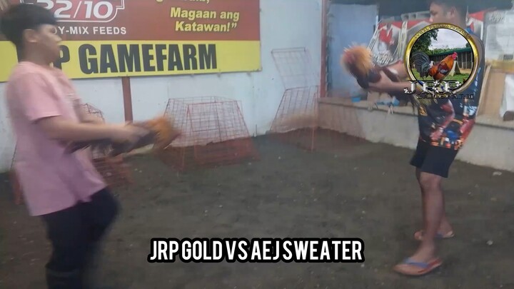 National Banded! JRP lines,AEJ GF line and MT Banahaw line! Sabong idol candidates