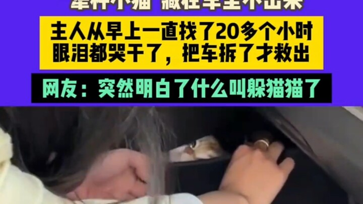 “แมวน้อยดื้อ” ซ่อนตัวอยู่ในรถไม่ยอมออกมา เจ้าของตามหาตั้งแต่เช้าจนผ่านไปกว่า 20 ชั่วโมง ถึงกับร้องไห