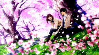 Mau nonton berapa kali pun tetep aja nangis🤧「AMV」Haruki & Sakura💗🤧