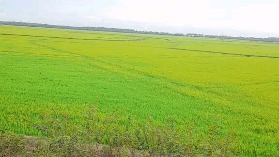 đã quay cảnh quen thuộc