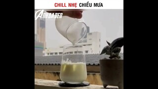 Chill Nhẹ Buổi Chiều