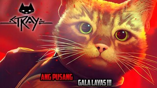 STRAY Ang Pusang Gala