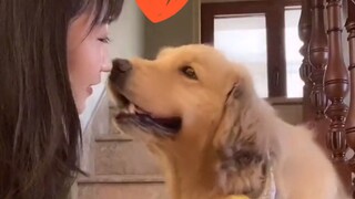 Love truly does bring a response—hurry up and give your furry baby a kiss!