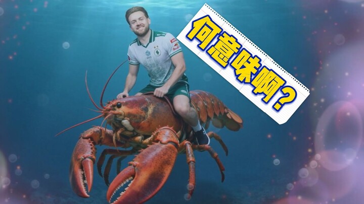 The master director’s hilarious stunt: Niko riding a giant shrimp! What does it even mean? 🙂🤬🤬