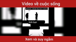 Hãy xem và suy ngẫm cảm nhận