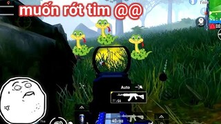 PUBG Mobile - Vào Rừng Sanhok Săn Nguyên Team Bé Na | Map Sương Mù Nên Gắn Đầu Nòng Nào?