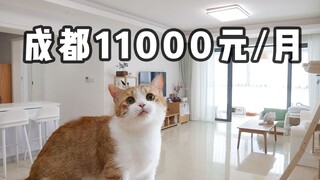 带5只猫搬入170m²大豪宅！铁汁萌觉得贵吗?【花花与三猫】