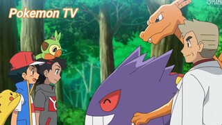 Pokemon (Short Ep 114) - Luyện tập cùng nhau #pokemon