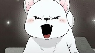 （最新）小狗生气，醋坛子打翻了