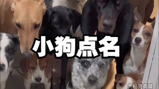 Only the dog whose name is called can enter the room~