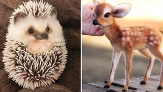 Animals SOO Cute! Cute baby animals Videos Compilation cutest moment of the animals 6