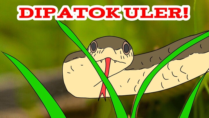 Dipatok Uler!