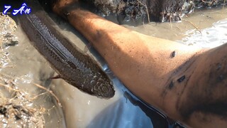 7 Ân Đi Móc Hang Cá Được Gì Đây ...