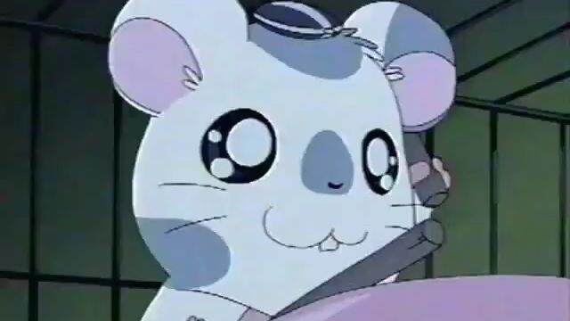 Hamtaro EP 110