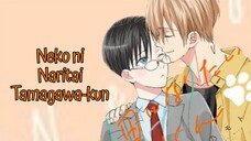 🇯🇵 N3k0 N! Nar!£a! Tama9awa-kuπ : SUB INDO