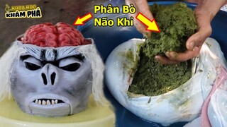 ⚡10 Món Ăn kinh Dị Nhất Của Người Trung Quốc Có Cho 1 Tỉ Không Dám Ăn | Khoa Học Khám Phá