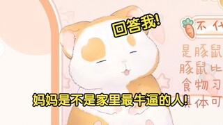 花玲对着猫：妈妈是不是家里最牛逼的人？回答我！【花玲片2】