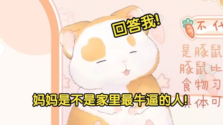 花玲对着猫：妈妈是不是家里最牛逼的人？回答我！【花玲片2】