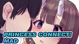 [Princess Connect!/MAD] Abnormal End