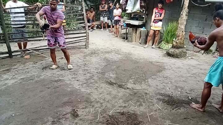 Talisay vs dalusapi