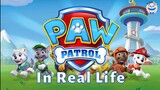 Paw Patrol Characters In REAL LIFE 2022