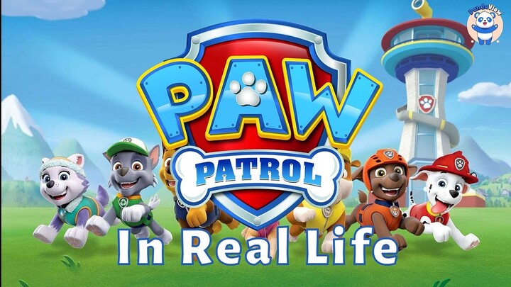 Paw Patrol Characters In REAL LIFE 2022
