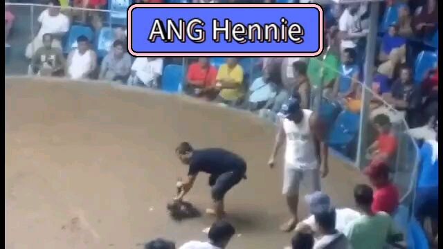 ANG Hennie (old video)