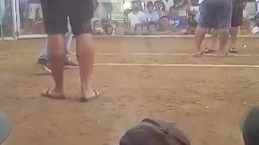 huli😂😂😂