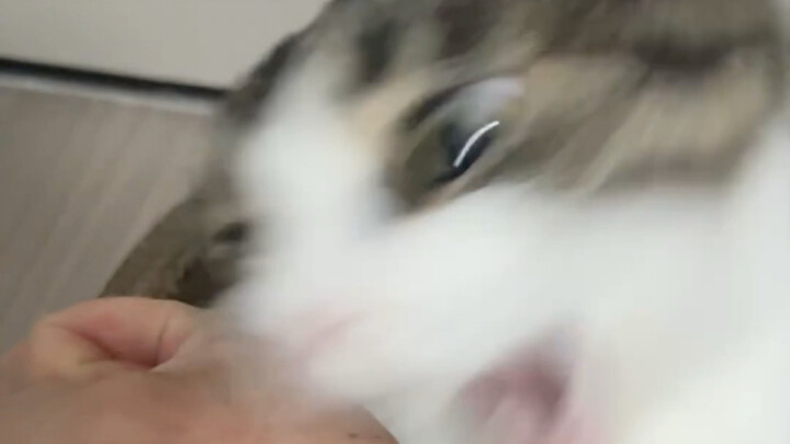 Live Replay: My Speed Is Seven Times Faster Than Sucking!