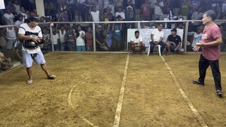 Allen RH (5 cock derby champion 5th fight)