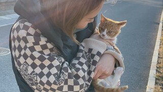 Follow-up to Huhu - I found a good and reliable family for Hu! [Pee is a cat]