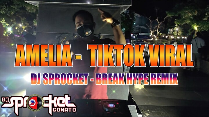 Amelia Tiktok Viral -Dj Sprocket Break Hype Remix