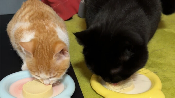 “Let’s all pig out together!”