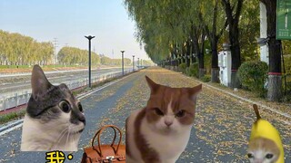 เมื่อเด็กน้อยเผชิญหน้ากับโจร