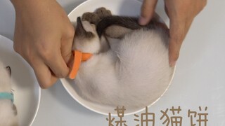 用暹罗猫做一道家常菜  老铁-煤油猫饼