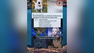 Anime otaku animememes parati memesanime lentejas animes memes sad memessad