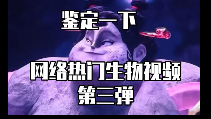 【用狐主任打开哪吒第三弹】鉴定一下网络热门生物视频